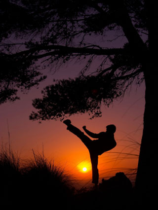 Kaze Hatsu Martial Art Programs : Goju Ryu Karate Program